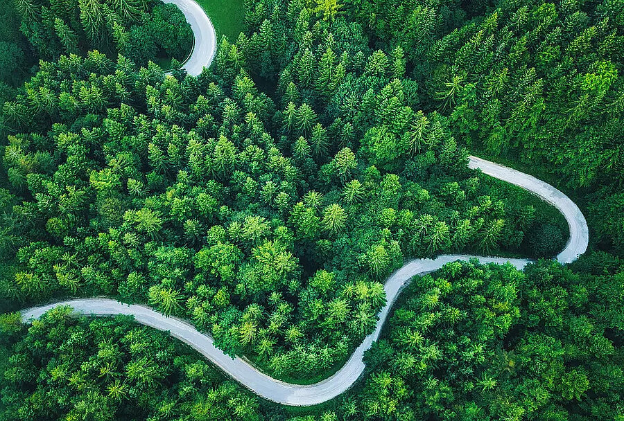 Straße, die sich durch einen Wald schlängelt; aus der Vogelperspektive